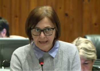 Nuovo canile, se non c’è la data precisa, almeno il mese: Cianci in Consiglio, «apertura a gennaio»