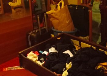 Topi d’appartamento in azione a San Salvo, per una famiglia è la seconda “visita”