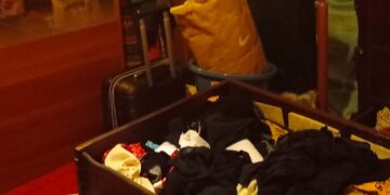 Topi d’appartamento in azione a San Salvo, per una famiglia è la seconda “visita”