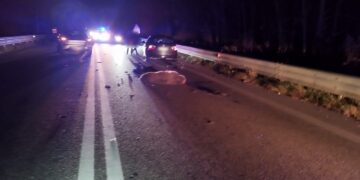 Investito da un’auto in transito sulla statale, muore orso marsicano