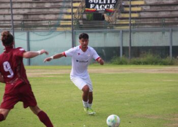 Pro Vasto: altro addio, Martignetti ha salutato