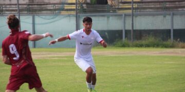 Pro Vasto: altro addio, Martignetti ha salutato