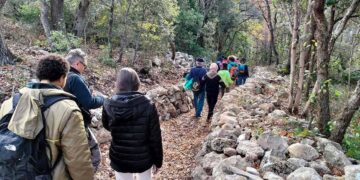 Tra alberi secolari e panorami mozzafiato: a Celenza sul Trigno rivive l’antica via dei muretti a secco