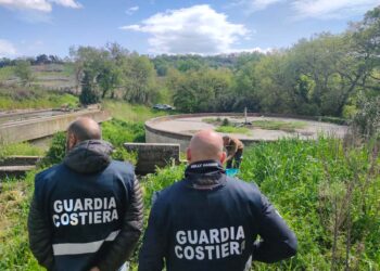 Pesca illegale, reati ambientali e controlli sulla navigazione: il 2025 della guardia costiera