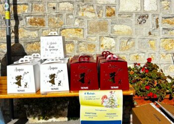 I panettoni solidali dell’associazione culturale Castelguidone dedicati alla piccola Aida