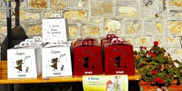 I panettoni solidali dell’associazione culturale Castelguidone dedicati alla piccola Aida