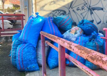 “Stappiamo e raccogliamo”, raccolte 58 tonnellate di tappi: «Piccolo gesto per un grande cambiamento»