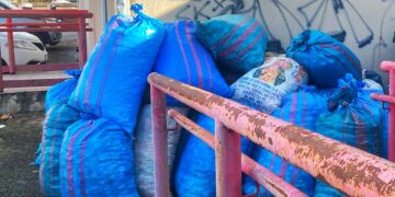 “Stappiamo e raccogliamo”, raccolte 58 tonnellate di tappi: «Piccolo gesto per un grande cambiamento»