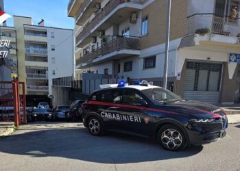 Operazione Alto impatto, 150 persone identificate e una denuncia per droga