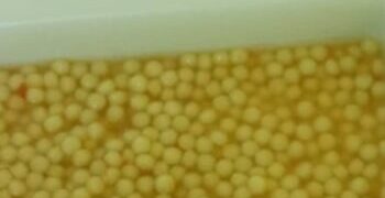 «Perché la Asl ha smantellato la cucina dell’ospedale di Vasto?»