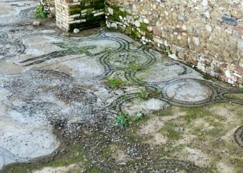 Zona archeologica sporca: mosaico del Nettuno coperto di guano e passerella senza ringhiera