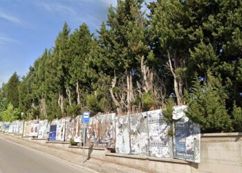 Accordo Comune-Arap: a San Salvo nuovi parcheggi sulla circonvallazione, via circa 40 alberi