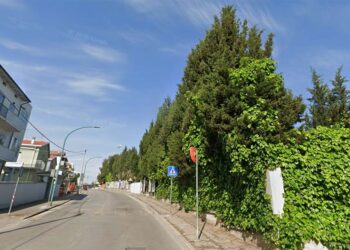 Accordo Comune-Arap: a San Salvo nuovi parcheggi sulla circonvallazione, via circa 40 alberi