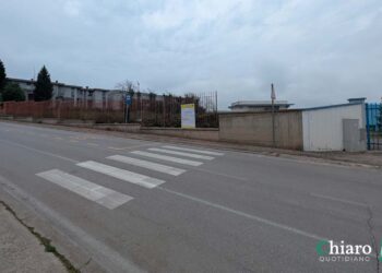 Via libera per i nuovi parcheggi sulla circonvallazione: eliminati i 40 alberi