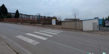 Via libera per i nuovi parcheggi sulla circonvallazione: eliminati i 40 alberi