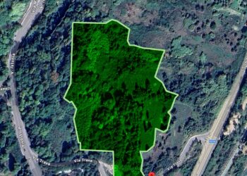 Via Trave, il Comune affida l’area dei mille alberi per attività sociali, sportive e culturali