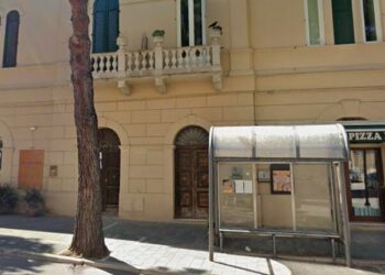 Marciapiede da rifare in corso Garibaldi, il Comune vuole tagliare 3 pini e il comitato chiama i carabinieri