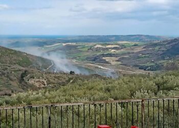 Esteso incendio a Dogliola, vigili del fuoco al lavoro per domare le fiamme