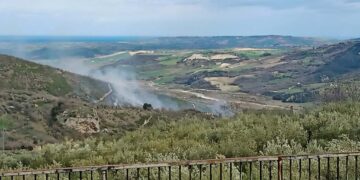 Esteso incendio a Dogliola, vigili del fuoco al lavoro per domare le fiamme