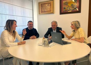 Reindustrializzazione di aree produttive, incontro con Denso, Nsg e Te Connectivity