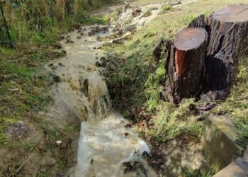 Allagamenti sulla SS16, ecco da dove proviene il torrente d’acqua e fango