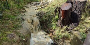 Allagamenti sulla SS16, ecco da dove proviene il torrente d’acqua e fango