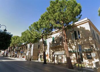 Pini da abbattere, «Valutare la legittimità dell’intervento e interessare associazioni e residenti»