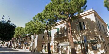 Pini da abbattere, «Valutare la legittimità dell’intervento e interessare associazioni e residenti»