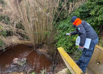 La guardia costiera sanziona la Sasi: scarichi non autorizzati e reflui non conformi