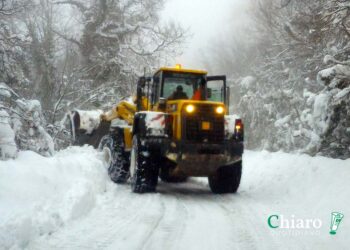 Manutenzione viaria, la Provincia di Chieti acquista 15 mezzi per 2,5 milioni di euro