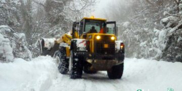 Manutenzione viaria, la Provincia di Chieti acquista 15 mezzi per 2,5 milioni di euro