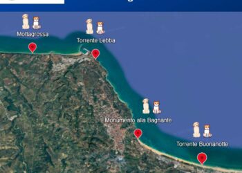 Per la stagione balneare 2026, confermate quattro spiagge per l’accesso degli animali di affezione