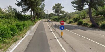 «Rincorso in zona San Nicola da cani che attaccano chi passa»