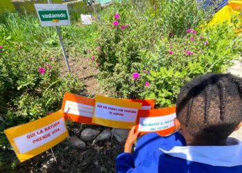 Giornata della Terra: tre agrumeti donati per le scuole primarie di Vasto