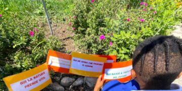 Giornata della Terra: tre agrumeti donati per le scuole primarie di Vasto