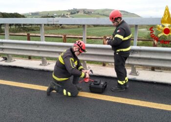 Si continua a cercare l’auto di Racanati nel Trigno e in mare anche con i sonar