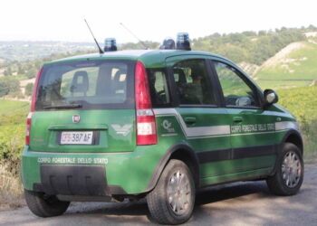 Lancia pneumatici nella scarpata, incivile “beccato” dalle fototrappole e multato