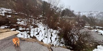 Viabilità al collasso: frana cancella un pezzo dell’ex SS Istonia, Castiglione rischia l’isolamento