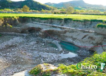 Campi devastati e danni all’agricoltura: online i moduli per le segnalazioni alla Regione