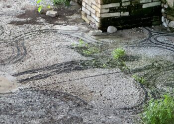 Terme Romane tra erbacce e guano in attesa dei lavori di riqualificazione