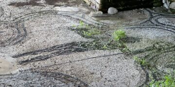 Terme Romane tra erbacce e guano in attesa dei lavori di riqualificazione