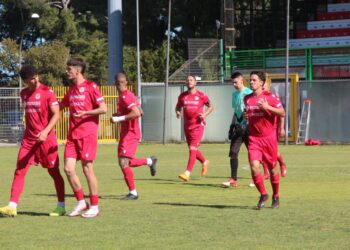 Pro Vasto: più giocatori in campo che punti. Ecco tutti gli errori. Stagione cupa, nonostante la salvezza