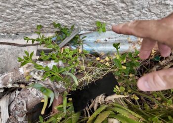 Arrestato il rapinatore, ha confessato. Coltello gettato tra le tombe