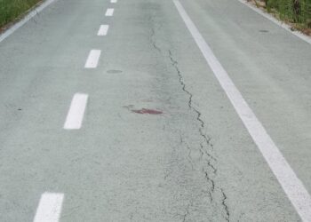 Donna investita sulla Via Verde, la testimonianza del marito
