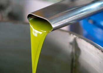 “Frantoi italiani: valore, innovazione e mercato”: a Vasto si riunisce la filiera olivicola
