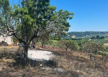 77enne di Torrevecchia Teatina muore in un rogo tra i campi