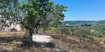77enne di Torrevecchia Teatina muore in un rogo tra i campi