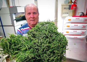 «Grazie a Domenico la tradizione della pizza con il luppolo selvatico di Gissi continua a vivere»