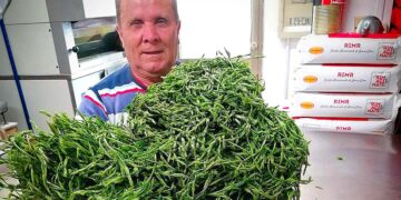 «Grazie a Domenico la tradizione della pizza con il luppolo selvatico di Gissi continua a vivere»