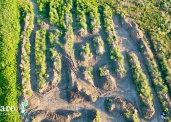 Si apre un capitolo inedito della storia vastese: scoperta grande necropoli preromana a Punta Penna